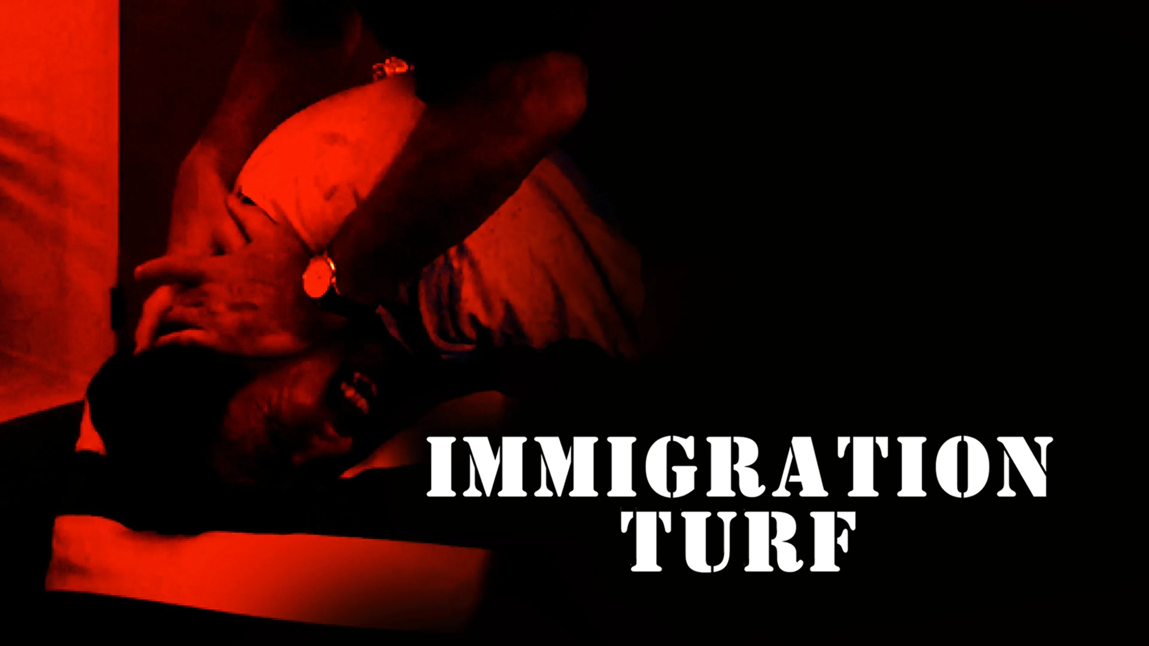Immigration Turf poster